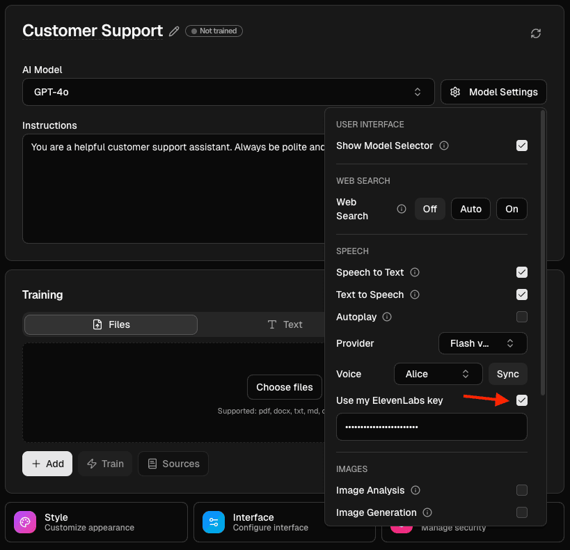 ElevenLabs Speech Settings API Key